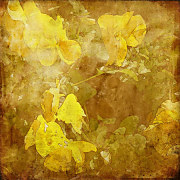 Art Obraz - Žlté kvety zs6003